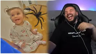 Oh nein! SPINNE 🕷️ 😂 | CanBroke Reaction