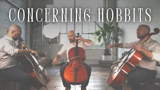 Concerning Hobbits (LOTR) - Cello Cover