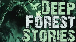 True Deep Forest Stories To Help You Fall Asleep | Rain Sounds