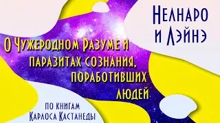 Тёмные Силы: паразиты сознания, деструктивные сущности тонкого плана, лярвы, летуны, мафлоки