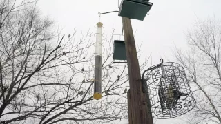 Moment of Zen: Birds at Isle a la Cache