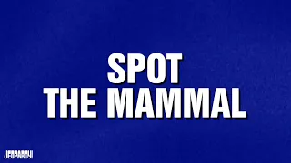 Spot The Mammal | Category | JEOPARDY!