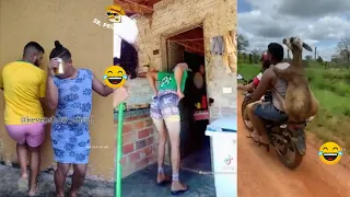 Os Vídeos + Engraçados do Whatsapp 2022! Tente Não Rir #83 - Whatsapp Memes Br