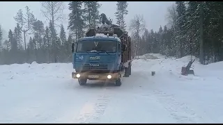 Молодой стажёр на лесовозе.