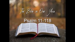 The Bible in One Year: Day 148 Psalms 111-118.