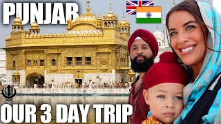 Foreigners lives changed after visiting PUNJAB! 🇬🇧🇮🇳