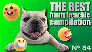 French Bulldogs Funny Moments & Fails Compilation #35