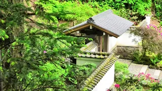 Portland Japanese Garden