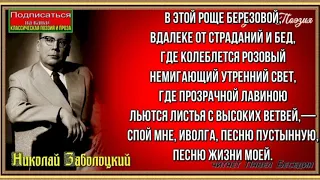 В этой роще березовой…— Николай Заболоцкий  —  читает Павел Беседин