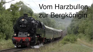 Vom Harzbullen zur Bergkönigin - Sommer im Harz