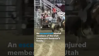 'We have a bull out. Loose.' Bull escapes rodeo, injures politician's family #Shorts