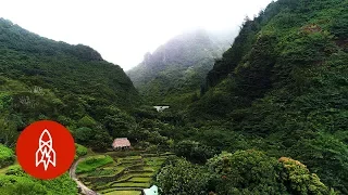 Explore the Valley Protecting Hawaii’s Ancient Plants