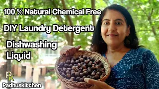 DIY Soapnut Laundry Detergent-Dishwashing Liquid-How to make Soapnut Liquid-Soapnuts with Bioenzymes