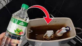 Here's What Happens When You Pour VINEGAR INTO THE TOILET BOWL 💥 INCREDIBLE RESULT