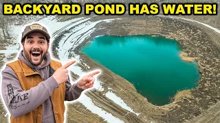 SURPRISE Major BACKYARD POND Update!!! (Did I Just Save $100,000?)