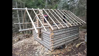 Building A Small Log Cabin In North Bay, Part 3