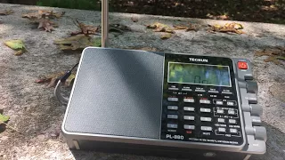Tecsun S-8800 VS Tecsun PL-880 FM Sound