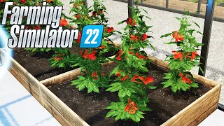 INICIANDO A PRODUÇAO DE TOMATES | Farming Simulator 22 | Elmcreek - Ep 27