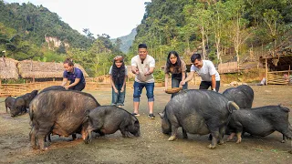 World's First Discovery Vlog To Visit Ly Thi Ca Farm & Residence