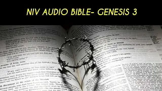 GENESIS 3 NIV AUDIO BIBLE (with text)