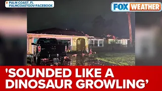 'Sounded Like A Dinosaur Growling': Man Describes Tornado Tearing Through Palm Coast, FL