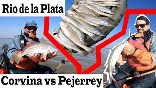 Pescon de Corvina y pejerrey  en el Rio de la Plata 2021 - La Balandra