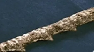 Ancient Spears Found in Fish | Mermaids