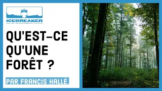 #02: Qu'est-ce qu'une forêt ?