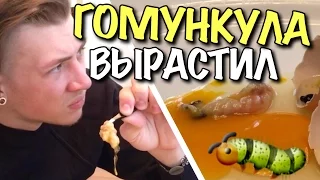 VLOG: Я ВЫРАСТИЛ ГОМУНКУЛА #1 (10 дней)🐛😨 / Андрей Мартыненко