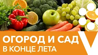 ОТВЕТЫ НА ВСЕ ВОПРОСЫ О ВЫРАЩИВАНИИ ОВОЩЕЙ И УХОДУ ЗА САДОМ В КОНЦЕ ЛЕТА!