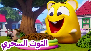 توم المتكلم 🐱 التوت السحري 🐱 افلام كرتون