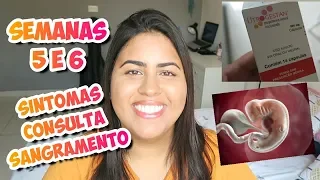 1º DIÁRIO DE GRAVIDEZ: SEMANAS 5 E 6 - SINTOMAS, SANGRAMENTO, CONSULTA E MAIS | Ailana Nascimento