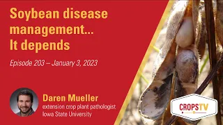 Soybean disease management...It depends