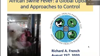 African Swine Fever: A Global Update and Approaches to Control