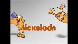 Далее на Nickelodeon: Котопёс (2010-2013)