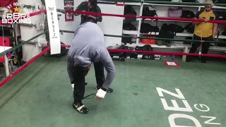 Dmitry Bivol Media Workout Highlights