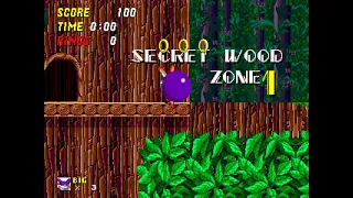 Sonic The Hedgehog 2 Pink Edition Secret Wood Zone 1 (Big the Cat)(with Cream)