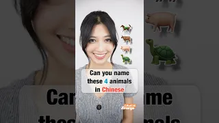 Can you name these animals 🐎🐂🐖🐢 in Chinese? #chinese #challenge #mandarin #shorts