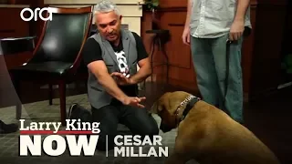 Cesar Millan on How He Became the 'Dog Whisperer' + Tips & Tricks