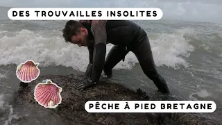 Pêche à pied Bretagne 2023 : Après la tempête