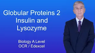 A Level Biology Revision "Globular Proteins 2"