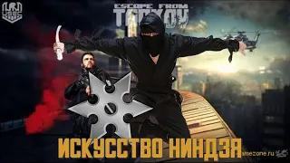 ESCAPE FROM TARKOV БАГИ ПРИКОЛЫ ФЕЙЛЫ СМЕШНЫЕ МОМЕНТЫ 2021 | Искусство НИНДЗЯ