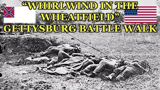 "Whirlwind in the Wheatfield" -  Gettysburg Battle Walk with Ranger John Hoptak