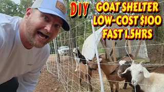 FAST DIY LOW-COST GOAT SHELTER tiny house, homesteading, off-grid cabin build HOW TO sawmill tractor