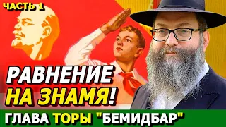 Глава Торы "БЕМИДБАР" часть 1 | Комментарии к недельной главе | Лекции Байтмана