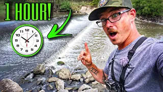 What Can I Catch From This SPILLWAY In ONE HOUR?!? (THEY DO EXIST)