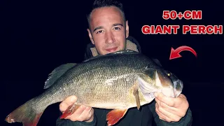 FISH OF A LIFETIME! Quest for a UK 4lbs Perch Complete!