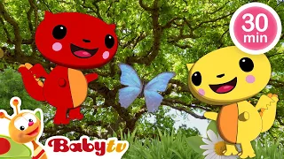 Sonidos relajantes 🌃 | Videos relajantes para bebés y niños pequeños @BabyTVSP