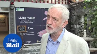 Corbyn: It's not up to Jo Swinson to decide who is PM