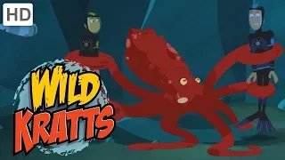 Wild Kratts - Dangerous Underwater Creatures 🦈🐙 | Kids Videos